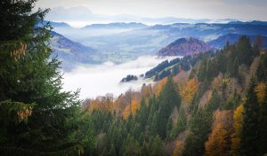 Allgau, Allemagne