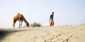 Chamelier et dromadaire, désert de Taar, Jaiselmer, Inde Chamelier et dromadaire, désert de Taar, Jaiselmer, Inde