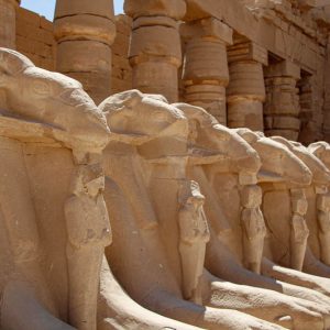Béliers de Karnak