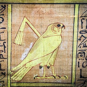 Horus, papyrus